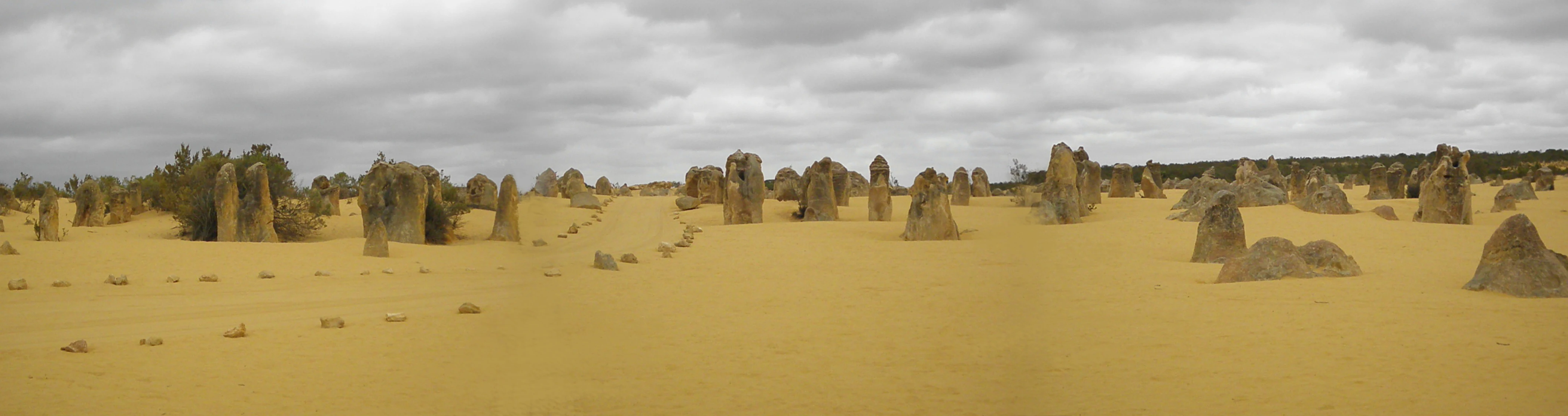 Panoramic view of a desert landscape with numerous limestone pillars under a cloudy sky