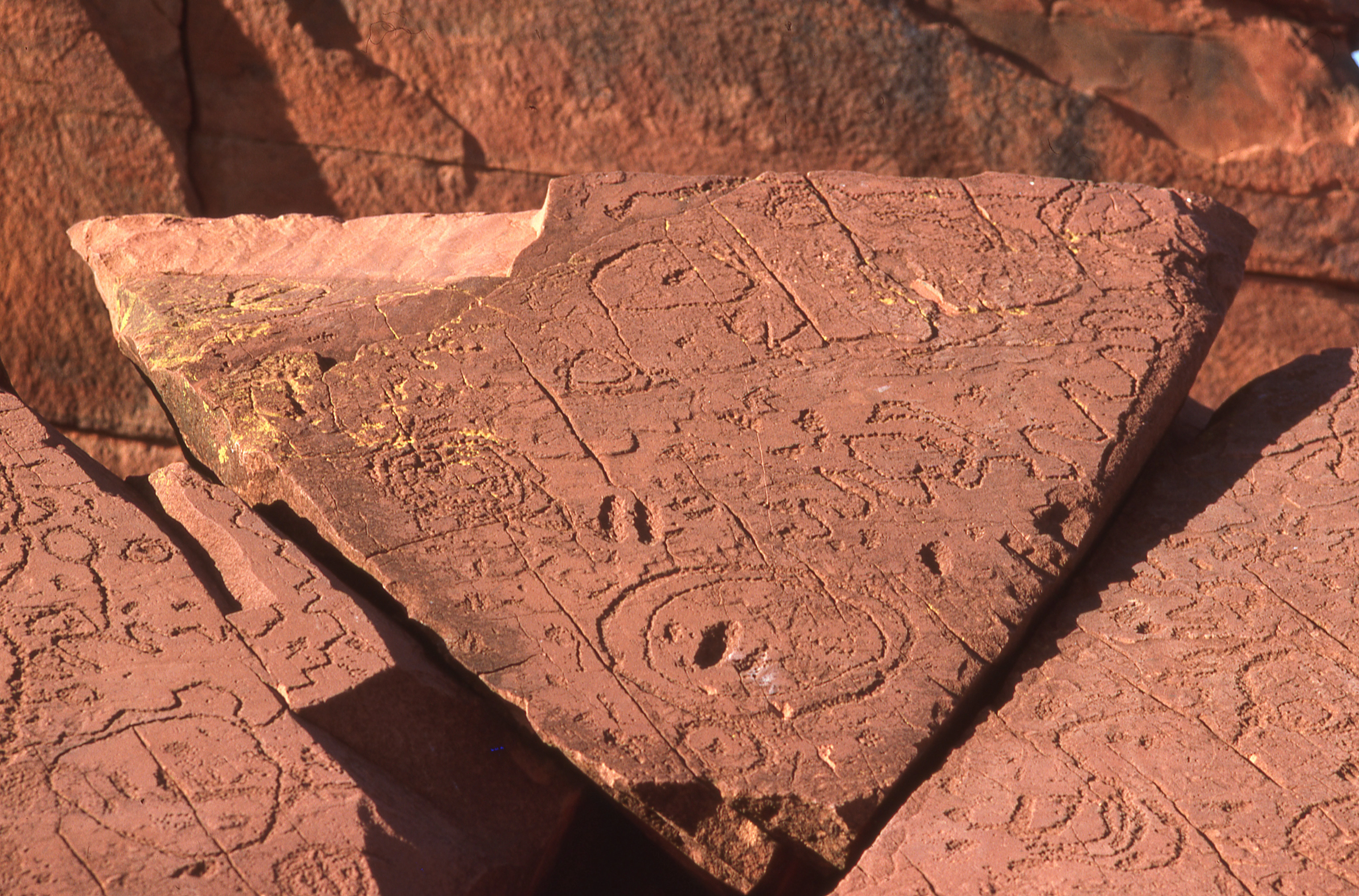 Close-up of red sandstone rock slabs covered in carved abstract circular and geometric patterns, located in a desert environment.