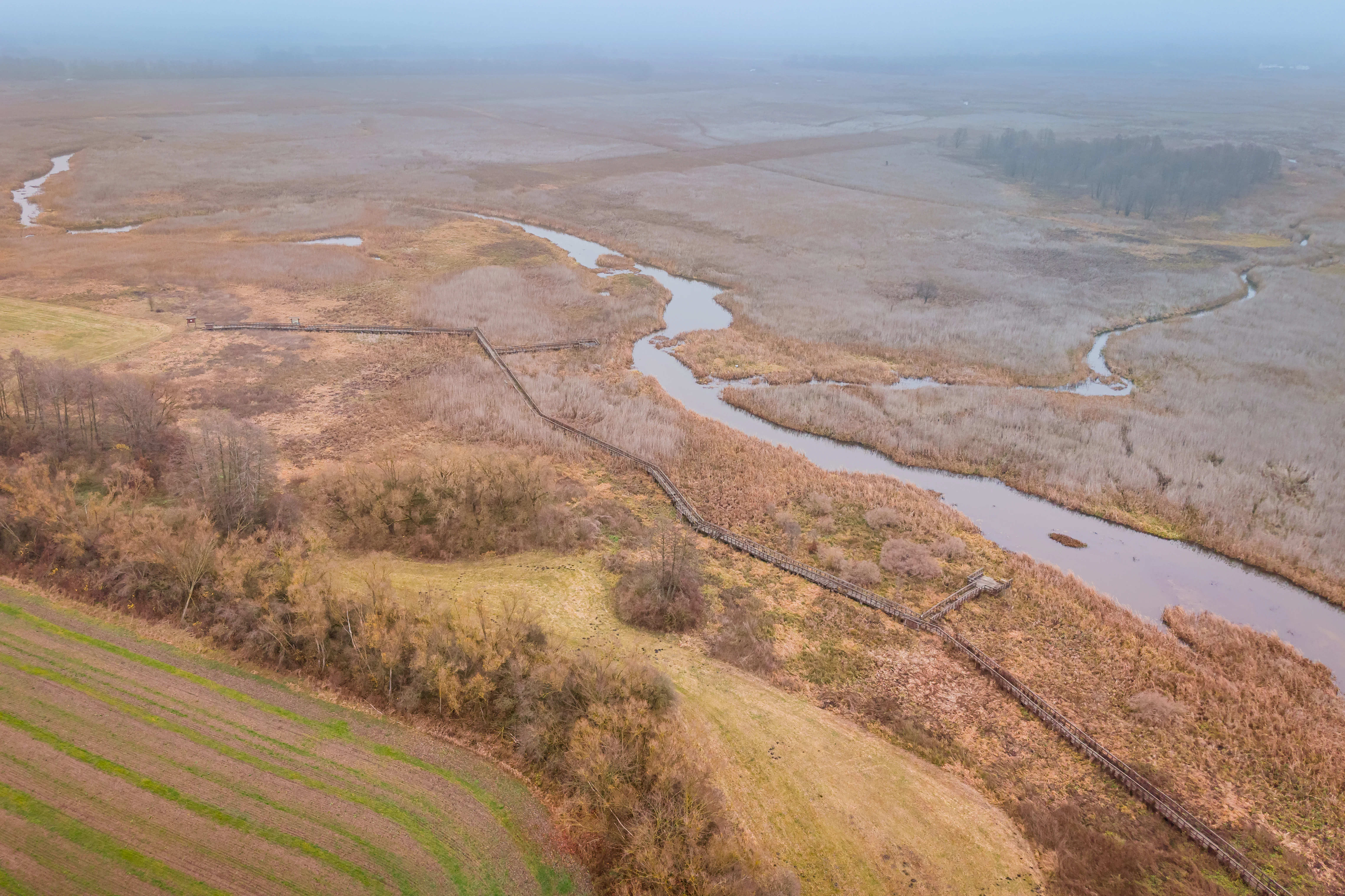 An aerial shot of a winding river flowing through a vast, marshy wetland landscape in Poland.