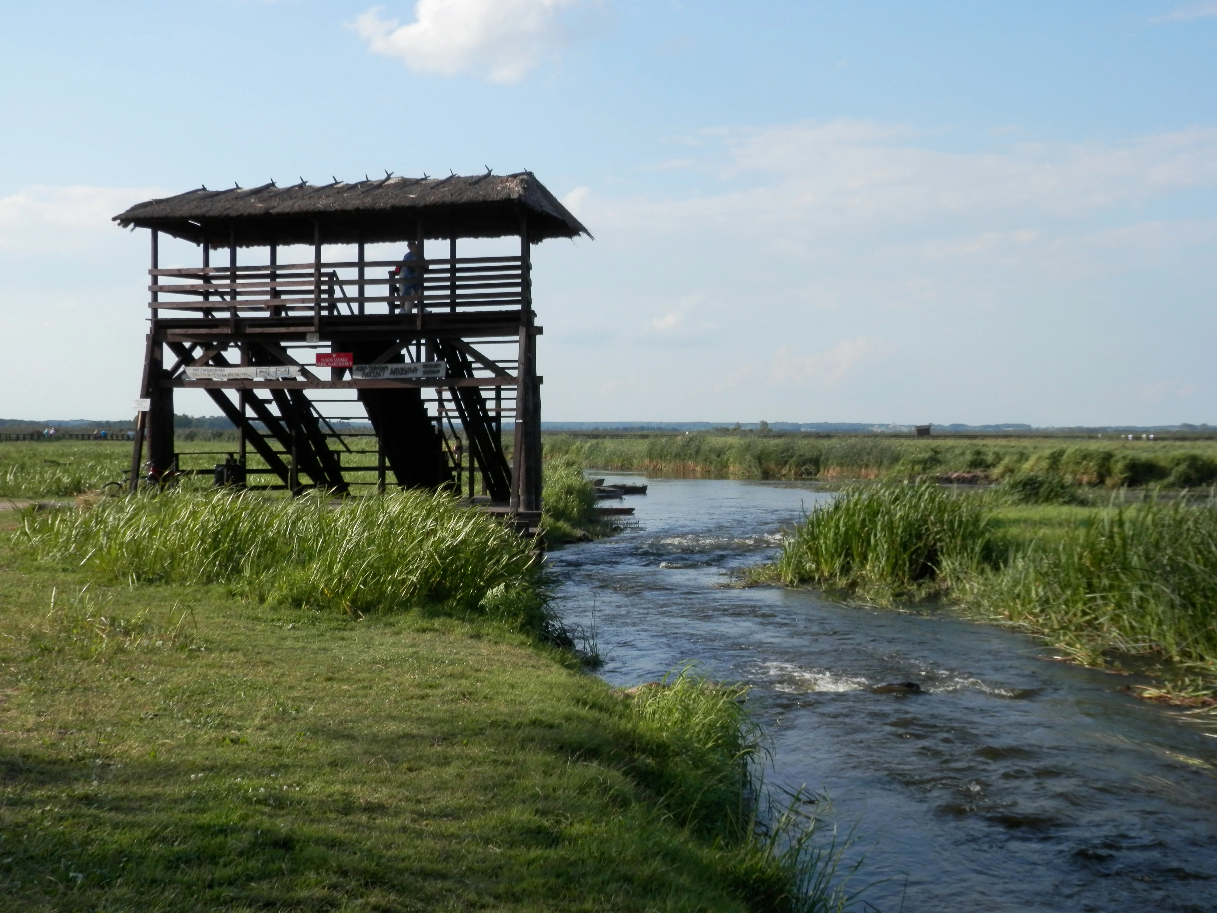 A wooden bird watching tower with a thatched roof stands beside a flowing river in a marshy landscape.