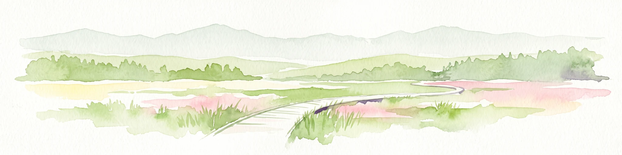 Una ilustración horizontal en acuarela que muestra una pasarela de madera serpenteando a través de un paisaje verde y pantanoso con suaves colinas al fondo.