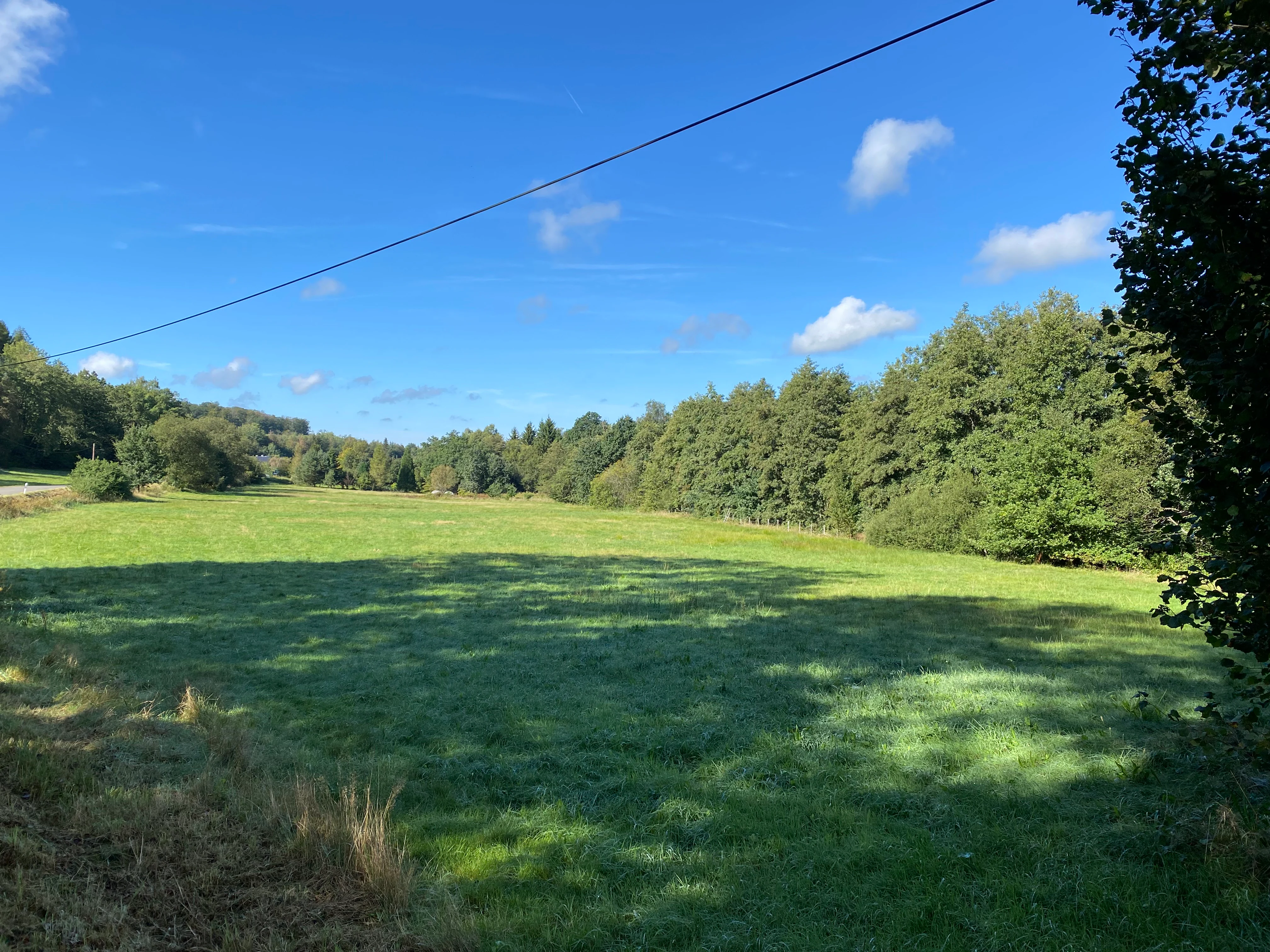 A wide, open green field bordered by a dense line of trees under a clear blue sky, with a power line stretching across the upper portion of the frame.