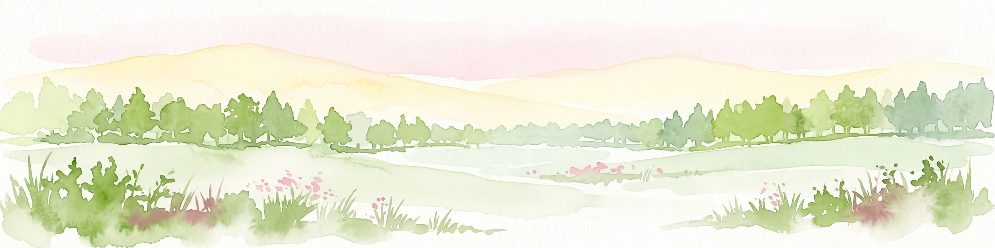 A soft watercolor illustration showing a misty, open wetland landscape with grassy foreground, a line of trees in the middle distance, and gentle hills in the background.