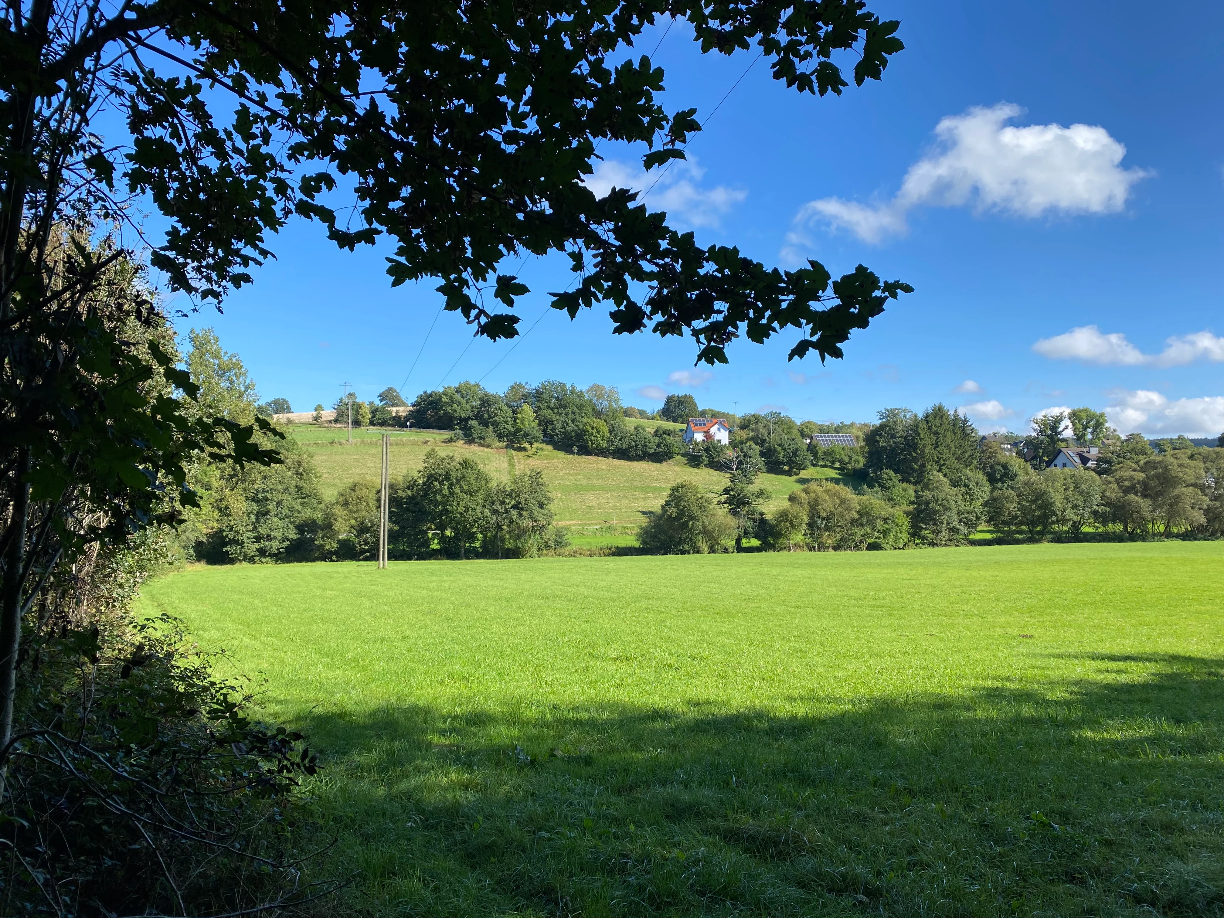 A bright, sunny view of a green meadow in the foreground with rolling hills, trees, and small buildings in the distance under a blue sky.