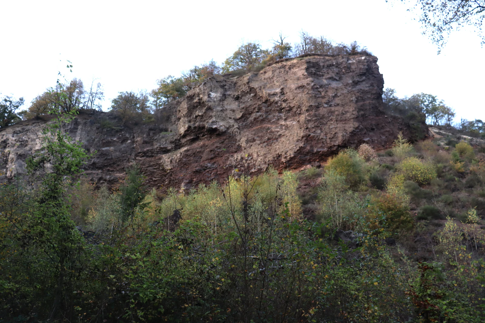 A steep, layered volcanic rock face showing reddish-brown volcanic slag and tuff, partially obscured by trees and vegetation at the base and top.