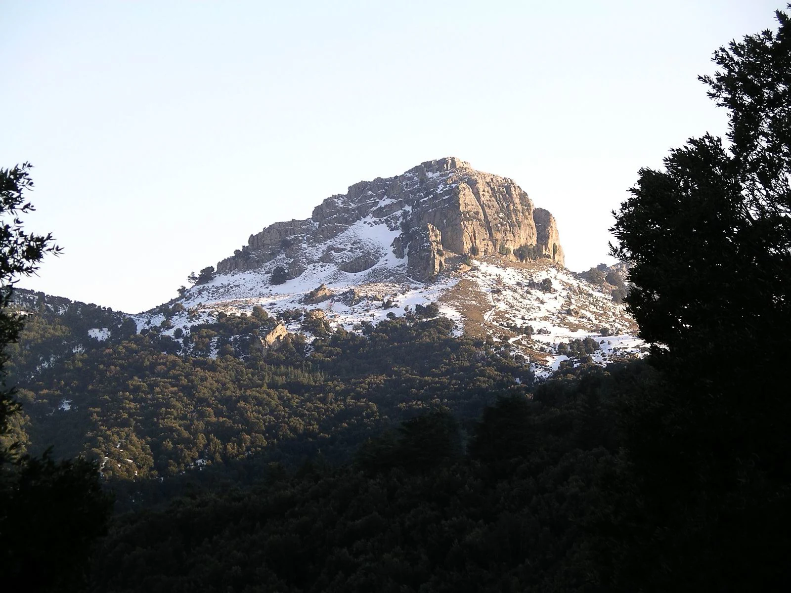 Mountain peak with patches of snow and forested lower slopes