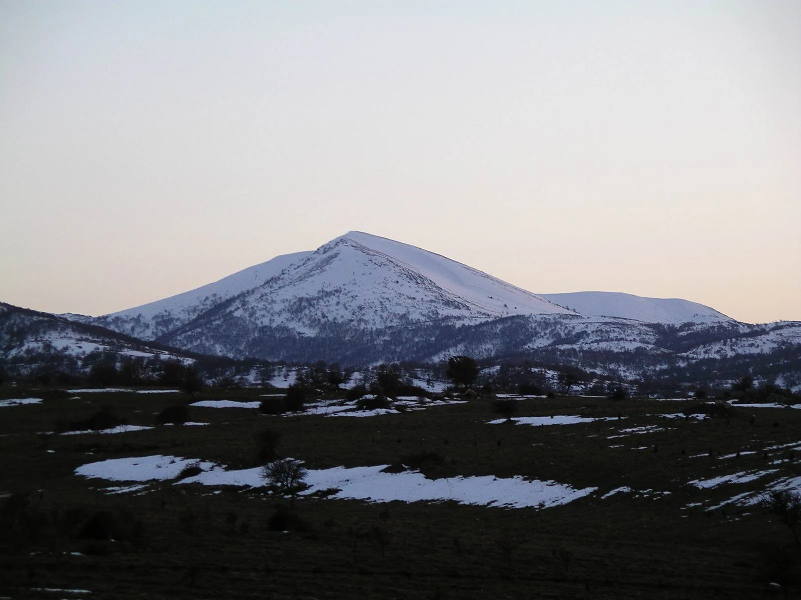 Snow-capped mountain peak with grassy fields and scattered trees in the foreground during twilight