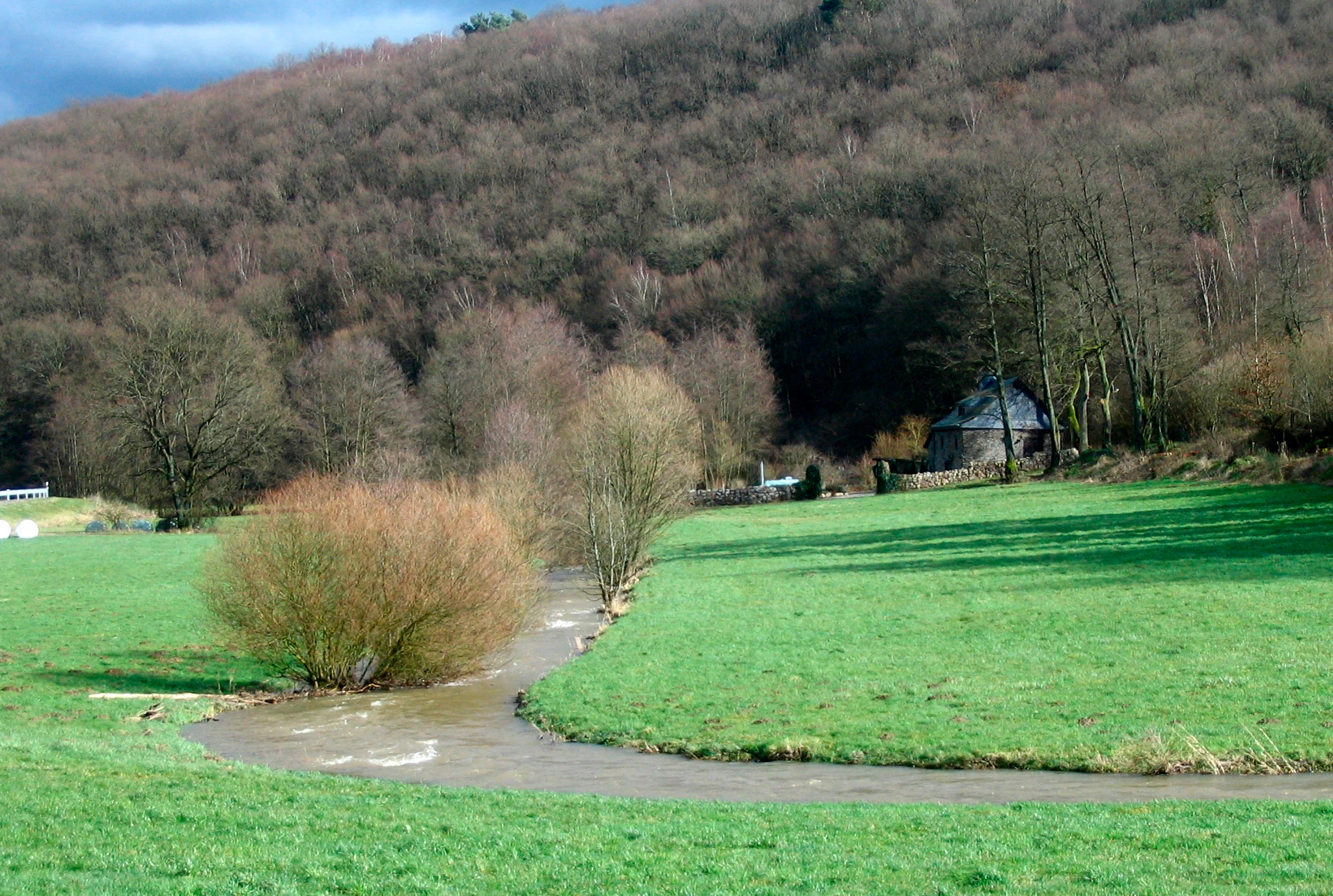 A small, winding river flows through a bright green meadow in front of a hillside covered in dense, bare trees under a cloudy sky.