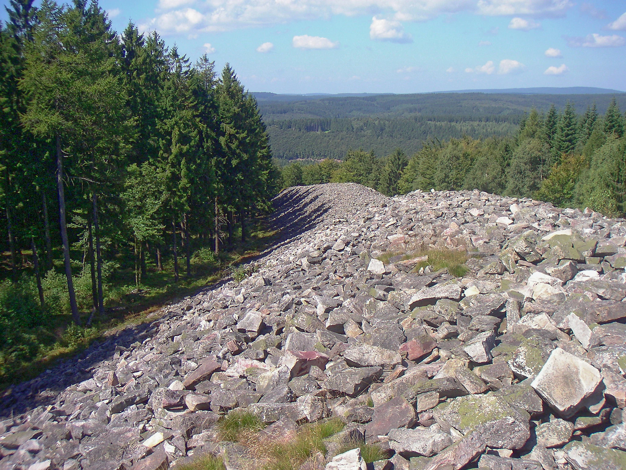 A wide, ancient stone wall made of loose rock, known as the Ringwall Otzenhausen, cutting through a dense green forest with a distant rolling landscape in the background.