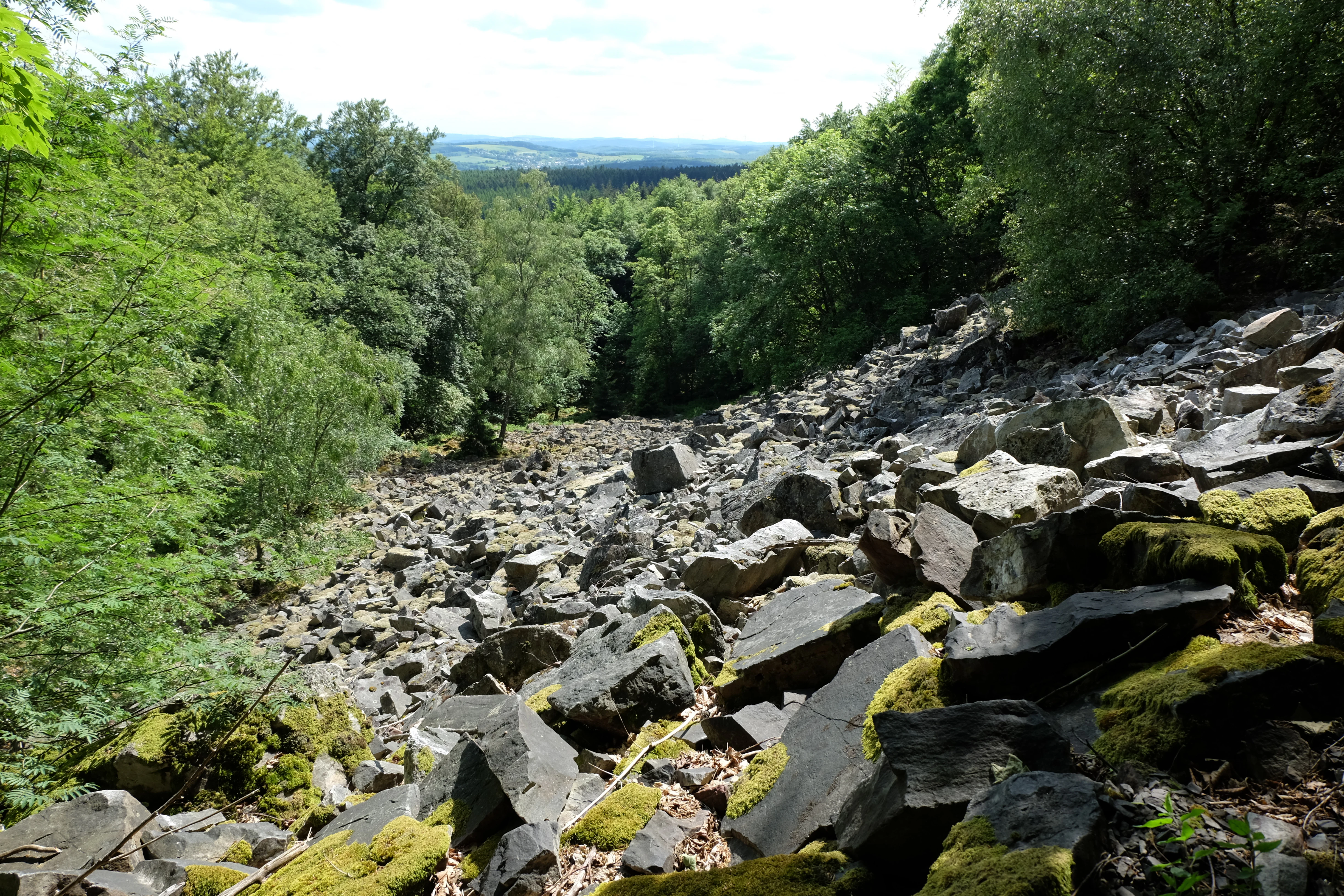 A downward sloping field of large, mossy rocks bordered by dense green beech forest on both sides, with a distant horizon visible under a cloudy sky.