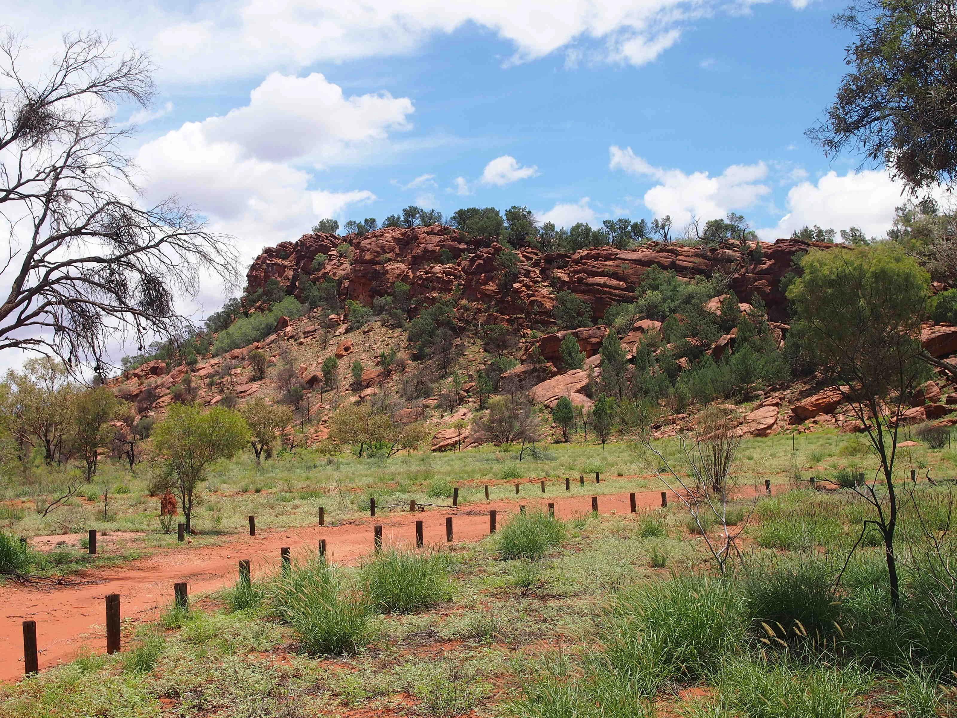 Una fotografía de paisaje de la Reserva de Conservación Native Gap que muestra una prominente cresta de arenisca roja elevándose sobre una llanura herbácea con un camino de tierra en primer plano.