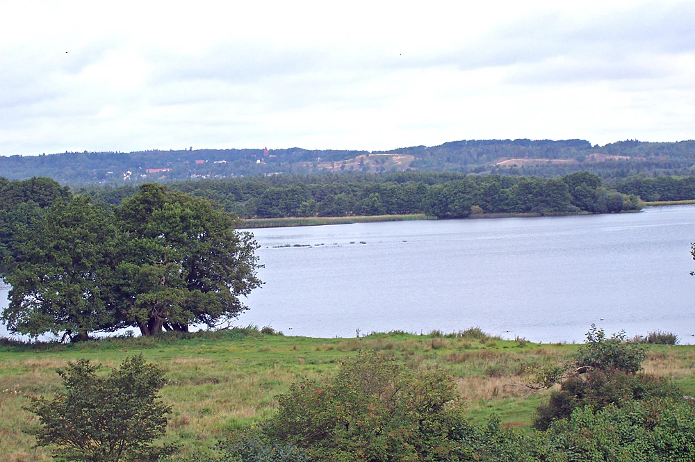 A landscape view of a large lake with a cluster of green trees on the left bank, grassy foreground, and a forested shoreline with distant hills under a cloudy sky.