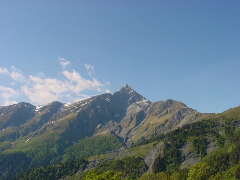 A wide, clear-day view of the sharp, rocky peak of Piz Beverin rising above a forested alpine slope.