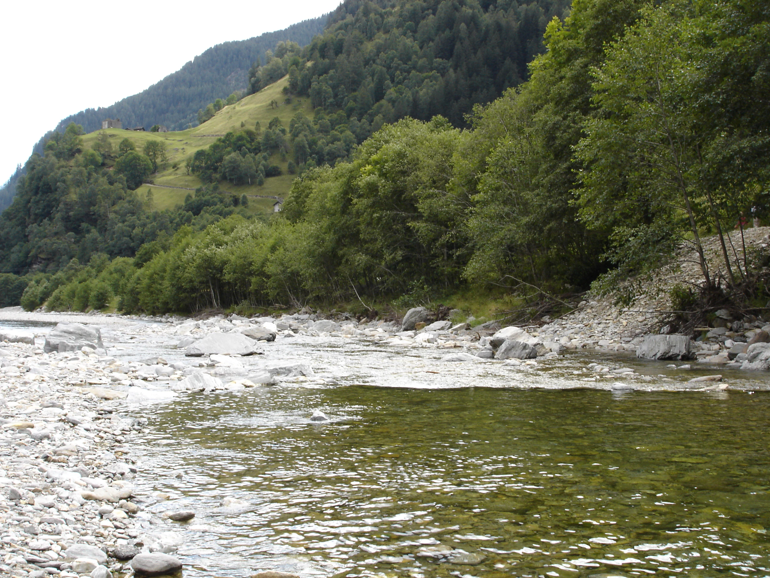 A clear river with a rocky bed and green banks flowing past a forested hillside.
