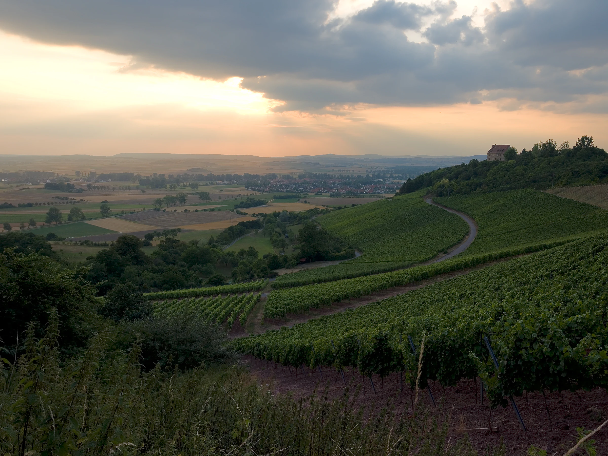 A wide-angle sunset view overlooking rolling green vineyard slopes with a small castle structure visible on a distant hilltop.
