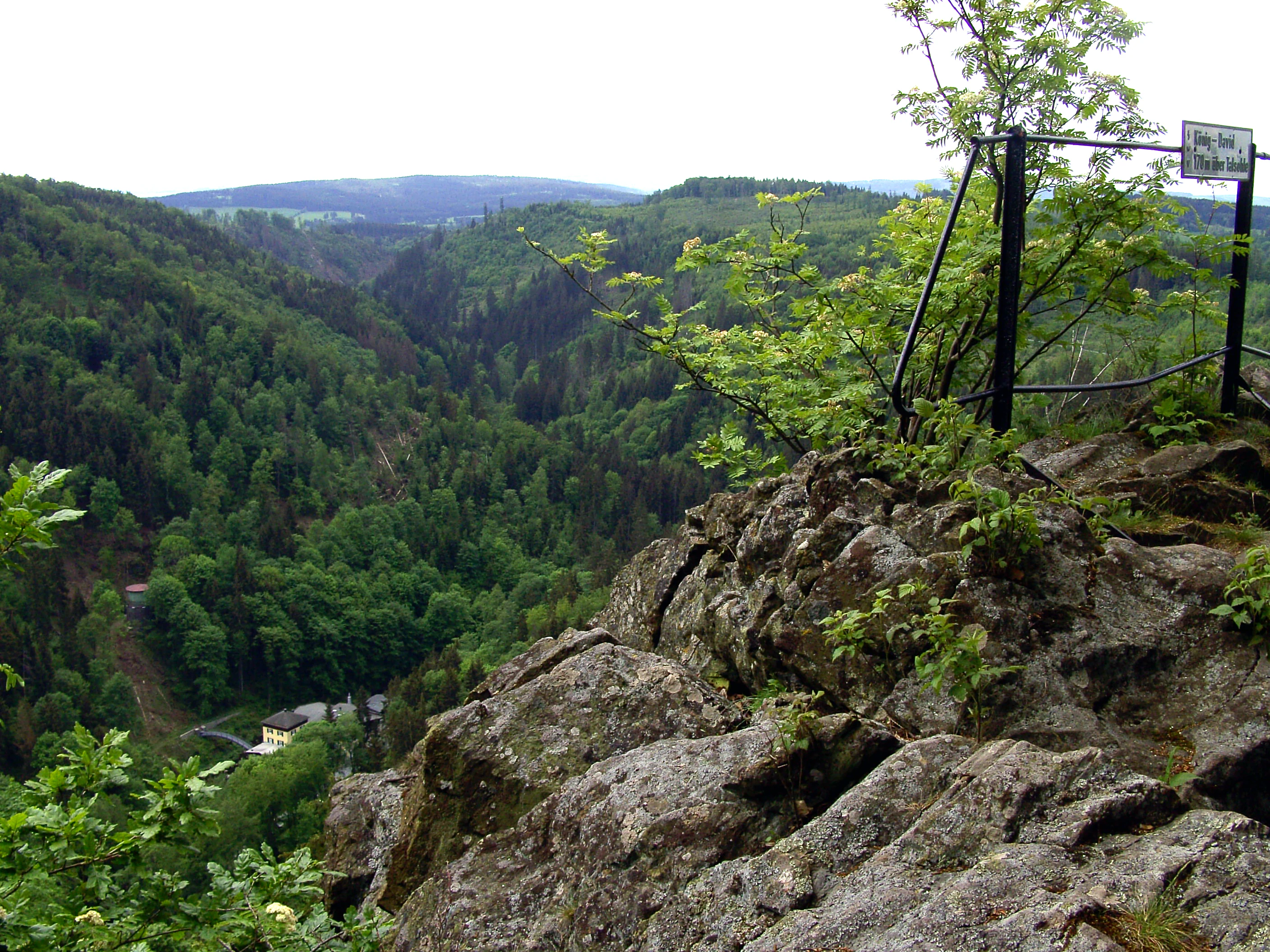 A high-angle view looking down into a forested valley from a rocky cliff, with a metal railing and a sign in the foreground.