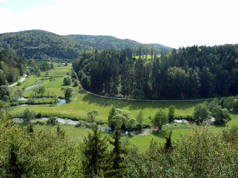 High-angle view of a green valley with a winding river, bordered by dense forested hills under a bright sky.