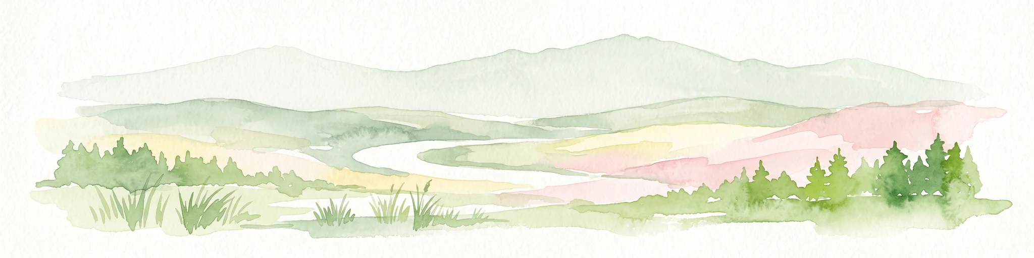 Ilustración en acuarela de un paisaje ondulado con colinas verdes, un arroyo serpenteante y árboles coníferos sobre un fondo blanco.