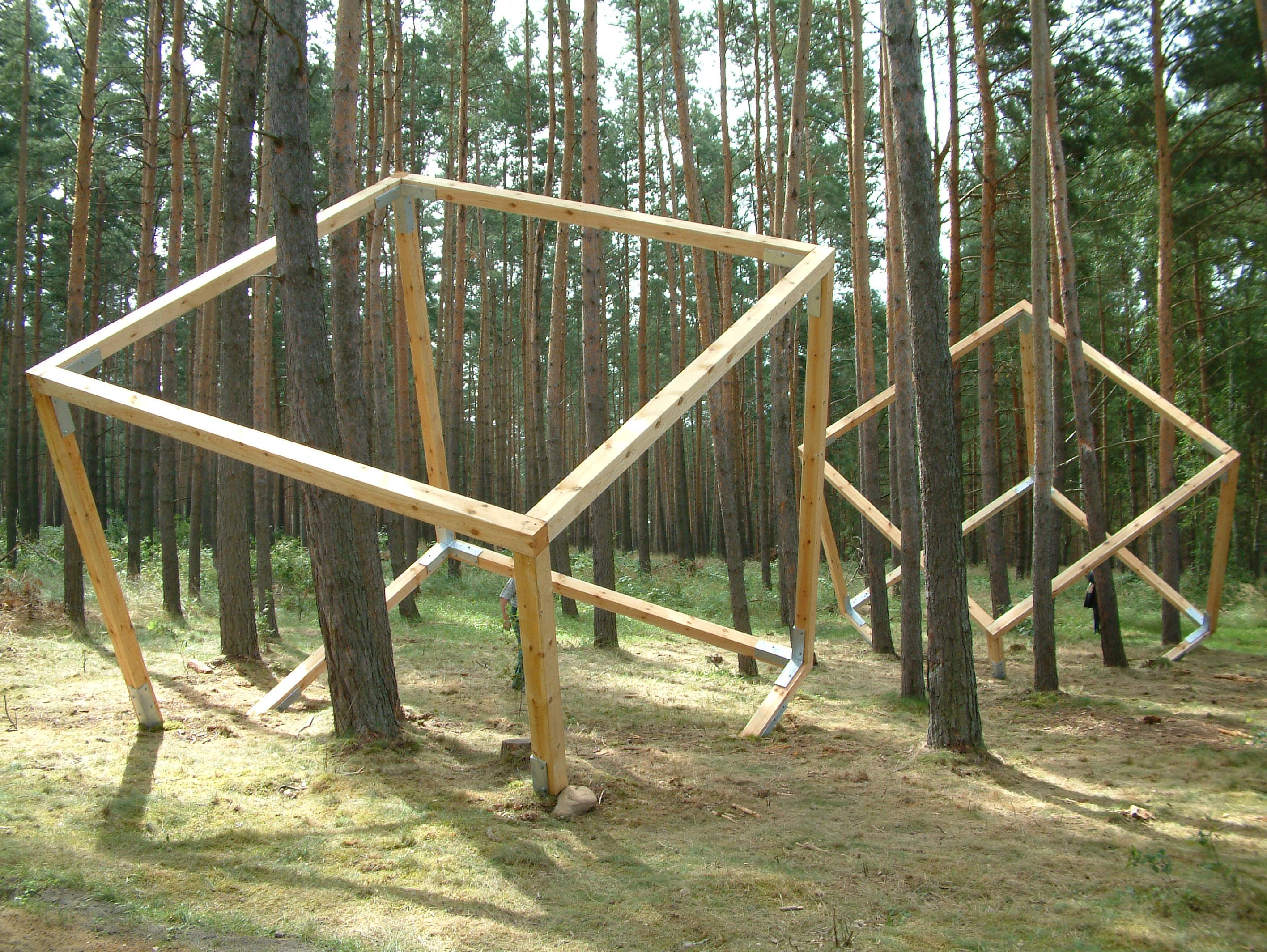 Two large geometric wooden cube sculptures partially integrated around pine trees in a forest.