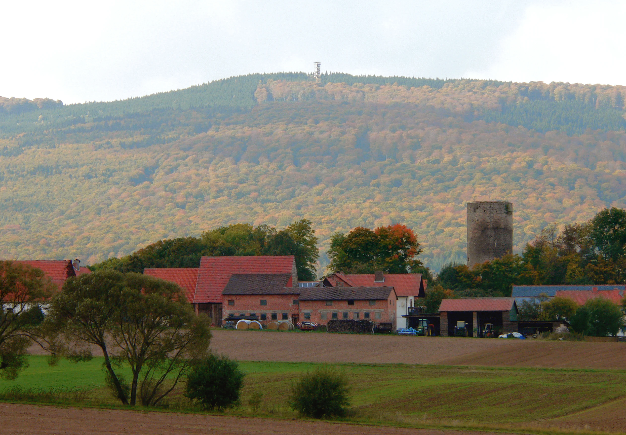 A wide shot of a forested hill, the Wuestegarten, featuring an observation tower on the summit, rising behind a rural village and farmland.