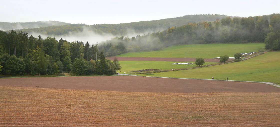 A wide landscape view of brown plowed fields and green pastures in the foreground leading to a dense forest and rolling hills under a cloudy, misty sky.