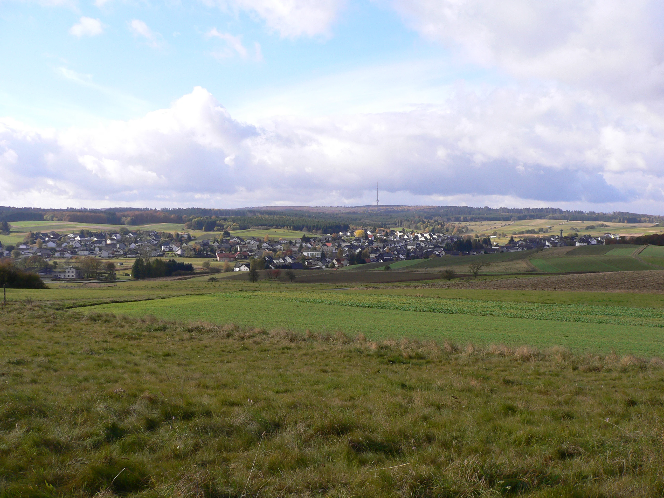 A wide landscape view of a rural German village surrounded by rolling green fields and forests, with a tall telecommunications tower visible on a distant ridgeline under a cloudy sky.