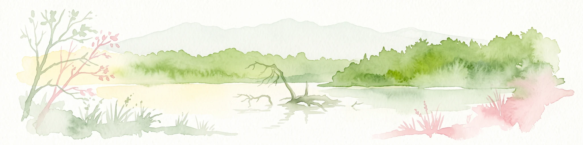 Una pintura horizontal en acuarela que muestra un lago tranquilo con un tronco de árbol muerto sobresaliendo del agua, respaldado por una orilla verde y exuberante y colinas onduladas a lo lejos.