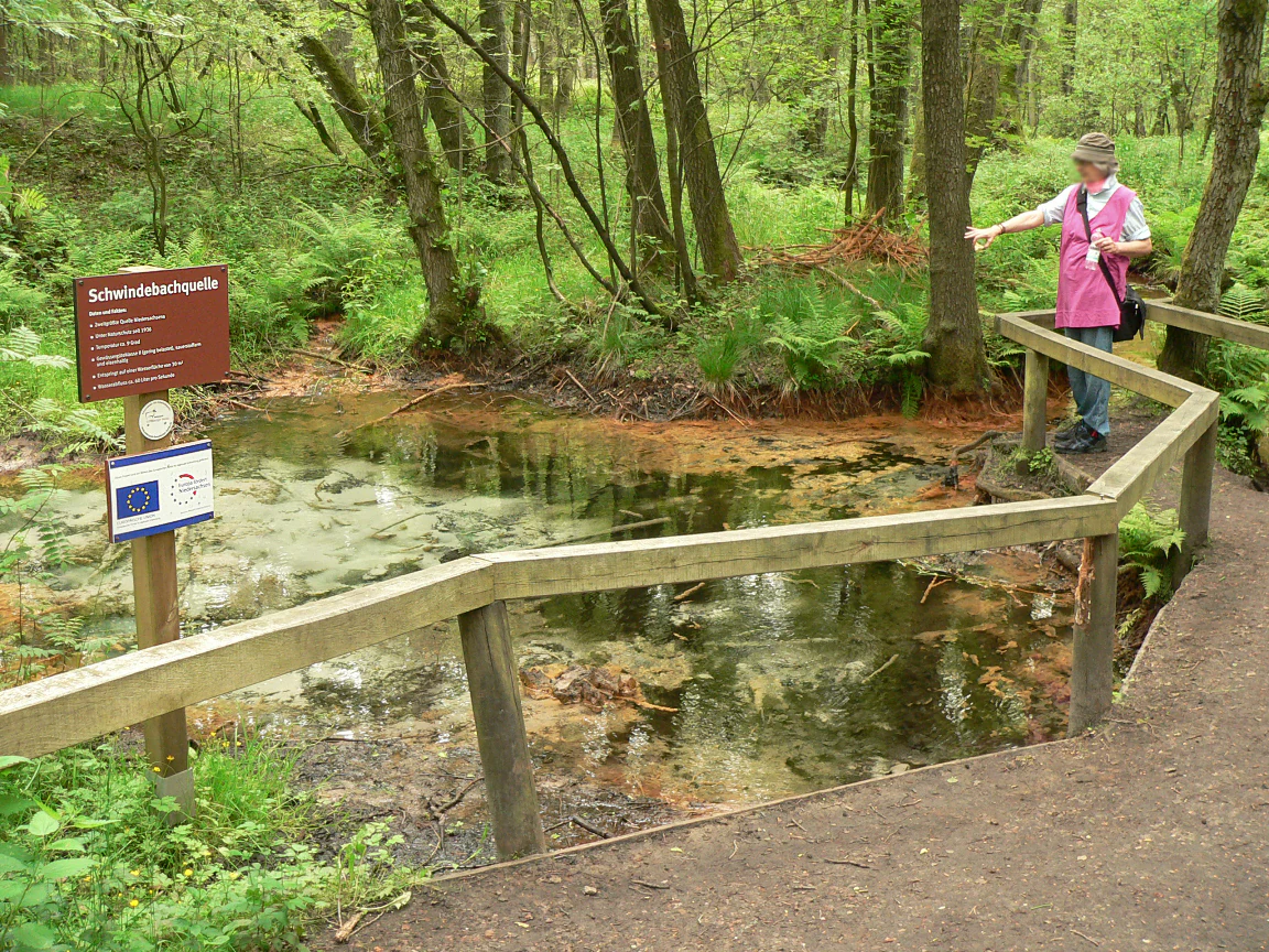 A person standing on a wooden boardwalk, pointing toward a small forest spring marked by an informational sign labeled Schwindebachquelle.