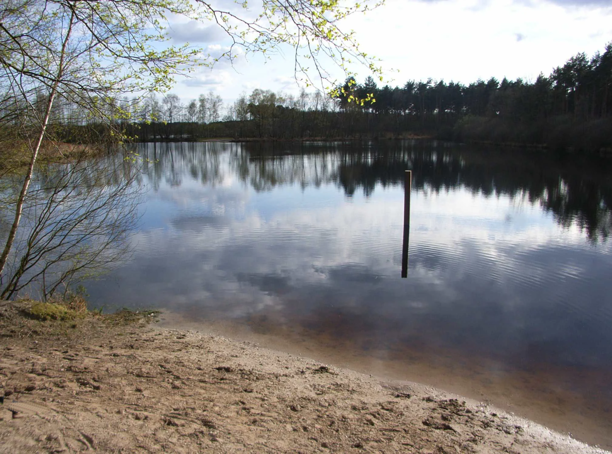 A calm lake reflecting the sky and surrounding trees, with a sandy shoreline in the foreground and a single post sticking out of the water.