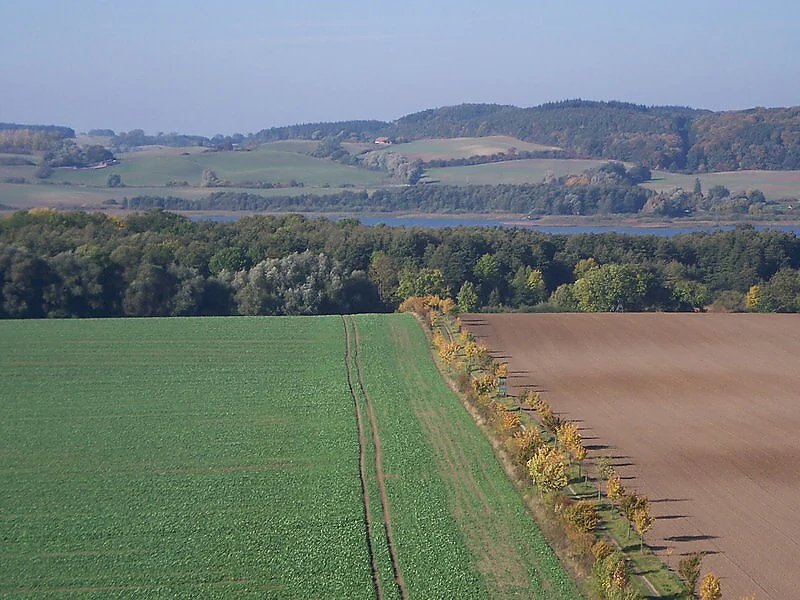 An elevated, wide-angle view of a rolling rural landscape showing a green field on the left and a tilled brown field on the right, separated by a line of trees. In the distance, a lake stretches across the horizon, bordered by forested hills under a hazy sky.