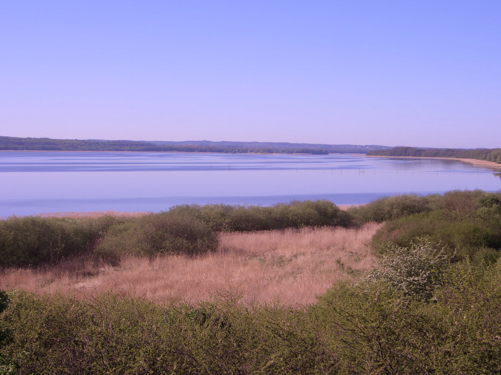 A wide, calm lake surrounded by low-lying hills and reedy marshes under a clear, bright blue sky.