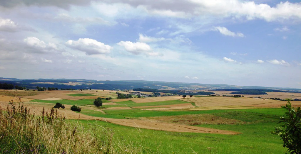 A wide, elevated view of rolling agricultural fields and meadows in hues of yellow and green, with patches of distant forest and a cloudy blue sky.
