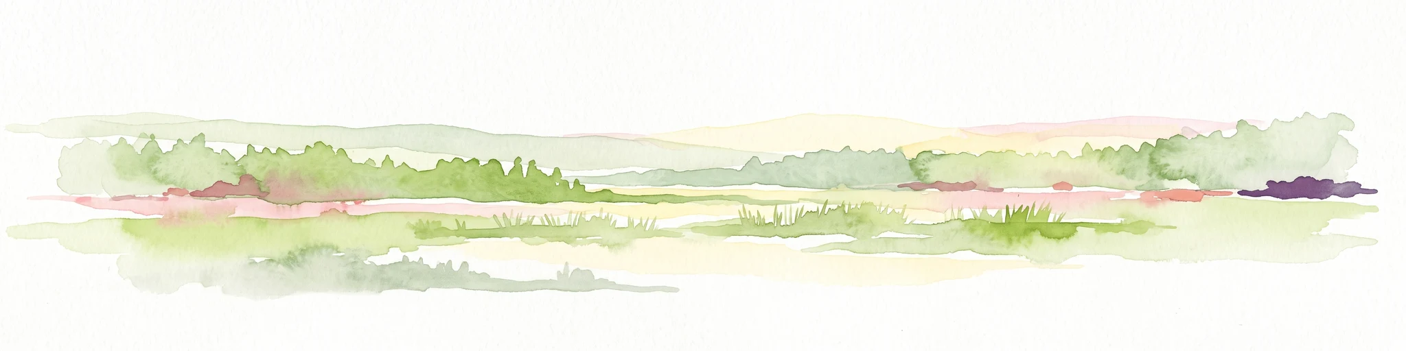 A minimalist watercolor painting showing a horizontal landscape with patches of green forest and hints of marshy or open terrain against a white background.