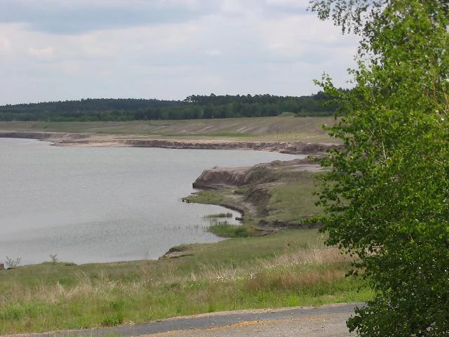 A wide view of a reclaimed landscape featuring a large lake formed in a former open-cast mine, with gentle grassy slopes and a line of distant trees under a cloudy sky.