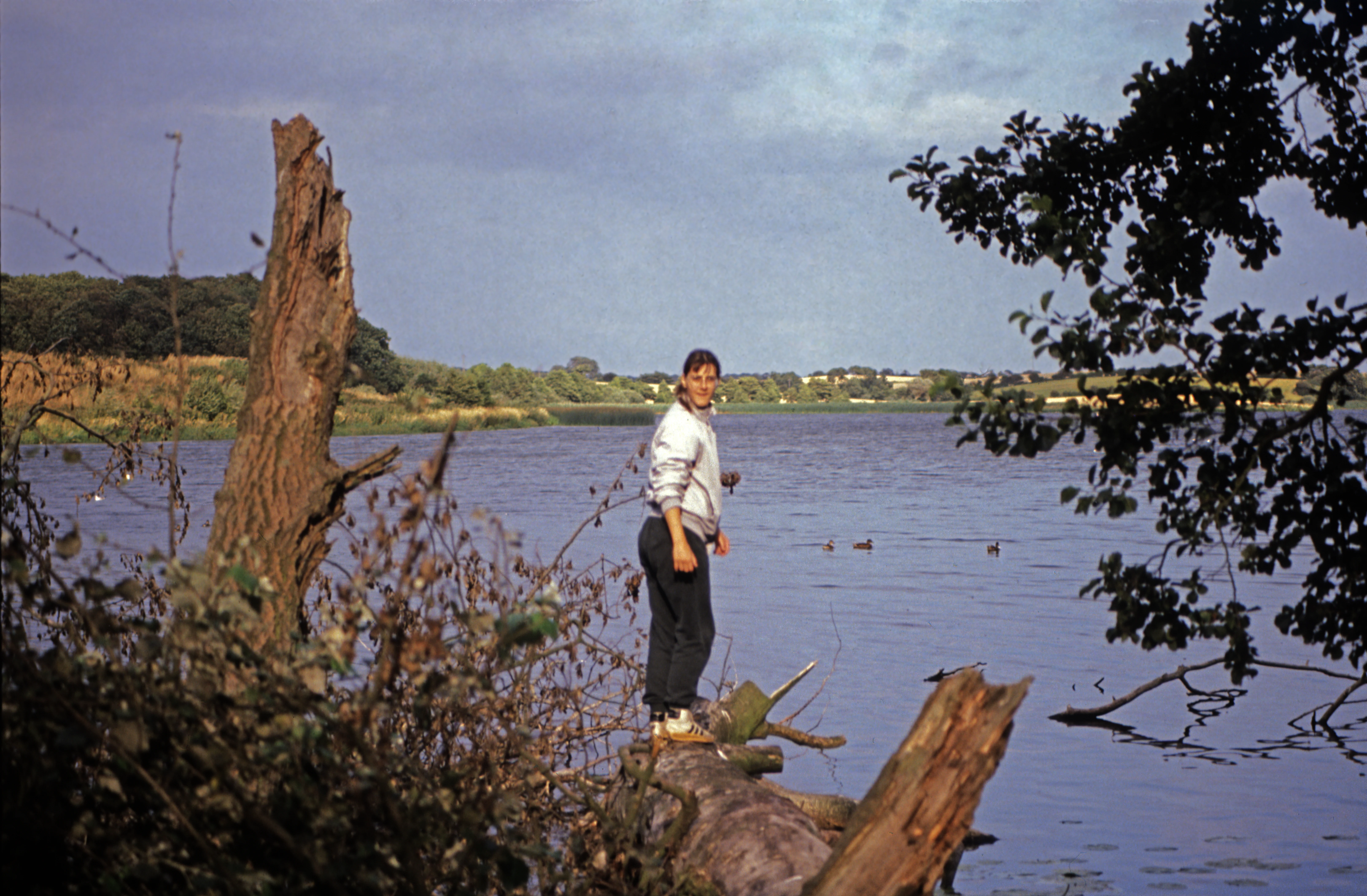 A person standing on a fallen tree trunk at the edge of a calm lake with a grassy shoreline in the distance.
