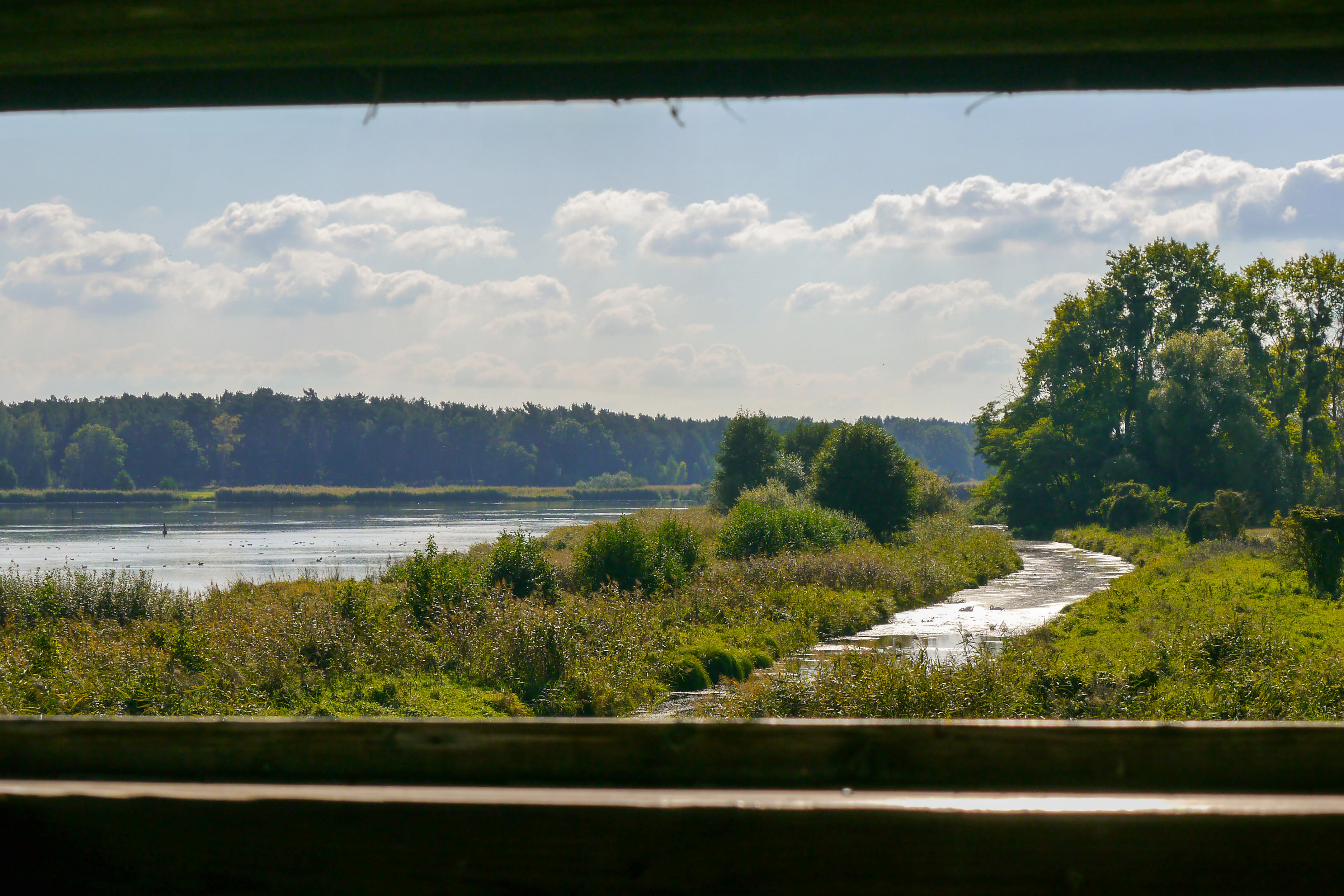 Una vista a través del marco de una ventana de madera que da hacia un lago y una pasarela de madera serpenteante a través de un humedal pantanoso, con árboles al fondo bajo un cielo parcialmente nublado.