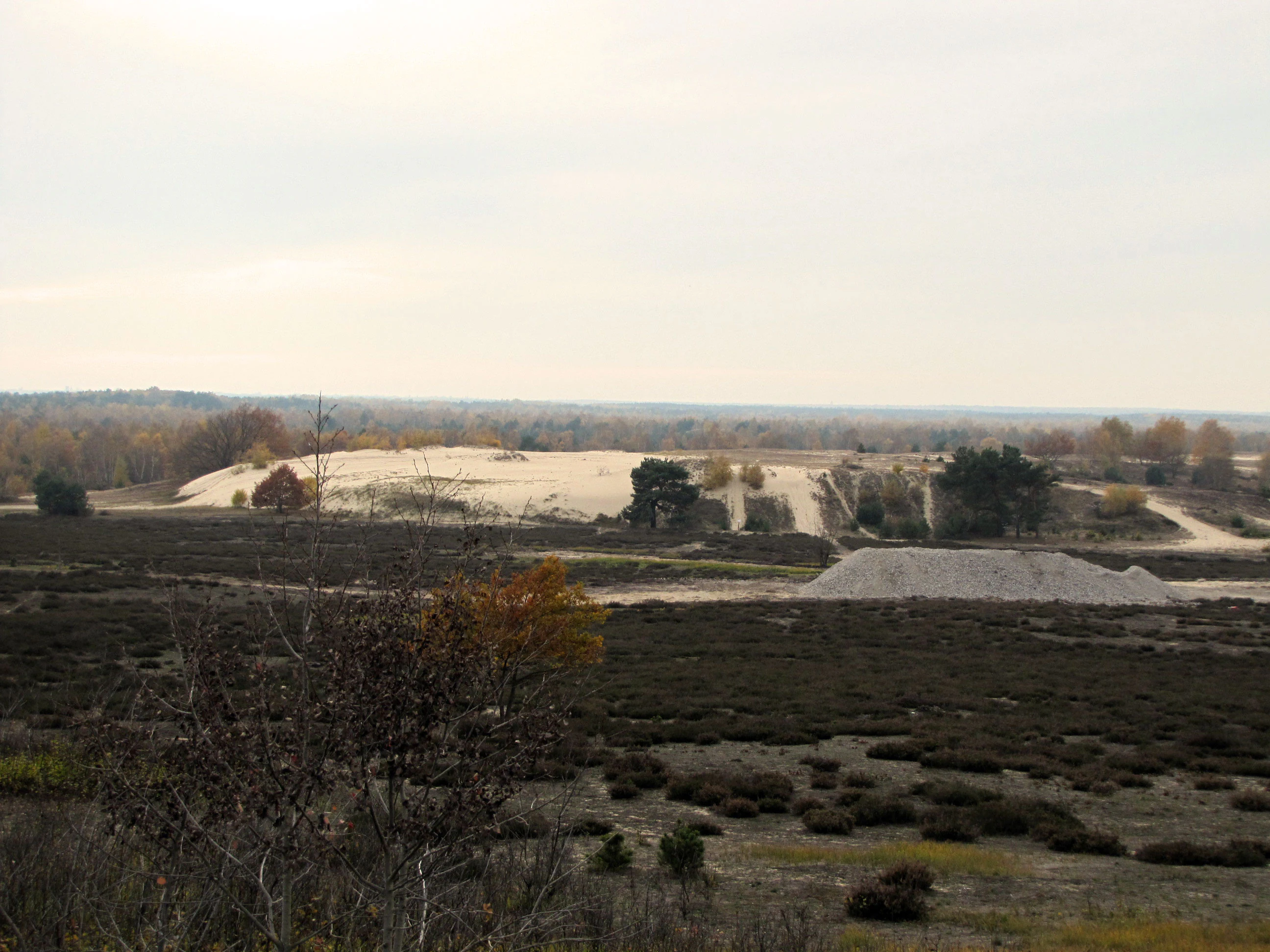 Vista panorámica de dunas de arena blanca rodeadas por vegetación arbustiva oscura y árboles dispersos bajo un cielo nublado.