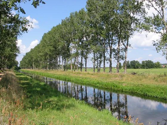 Un río estrecho que refleja una hilera de árboles altos bajo un cielo azul, con riberas cubiertas de hierba.