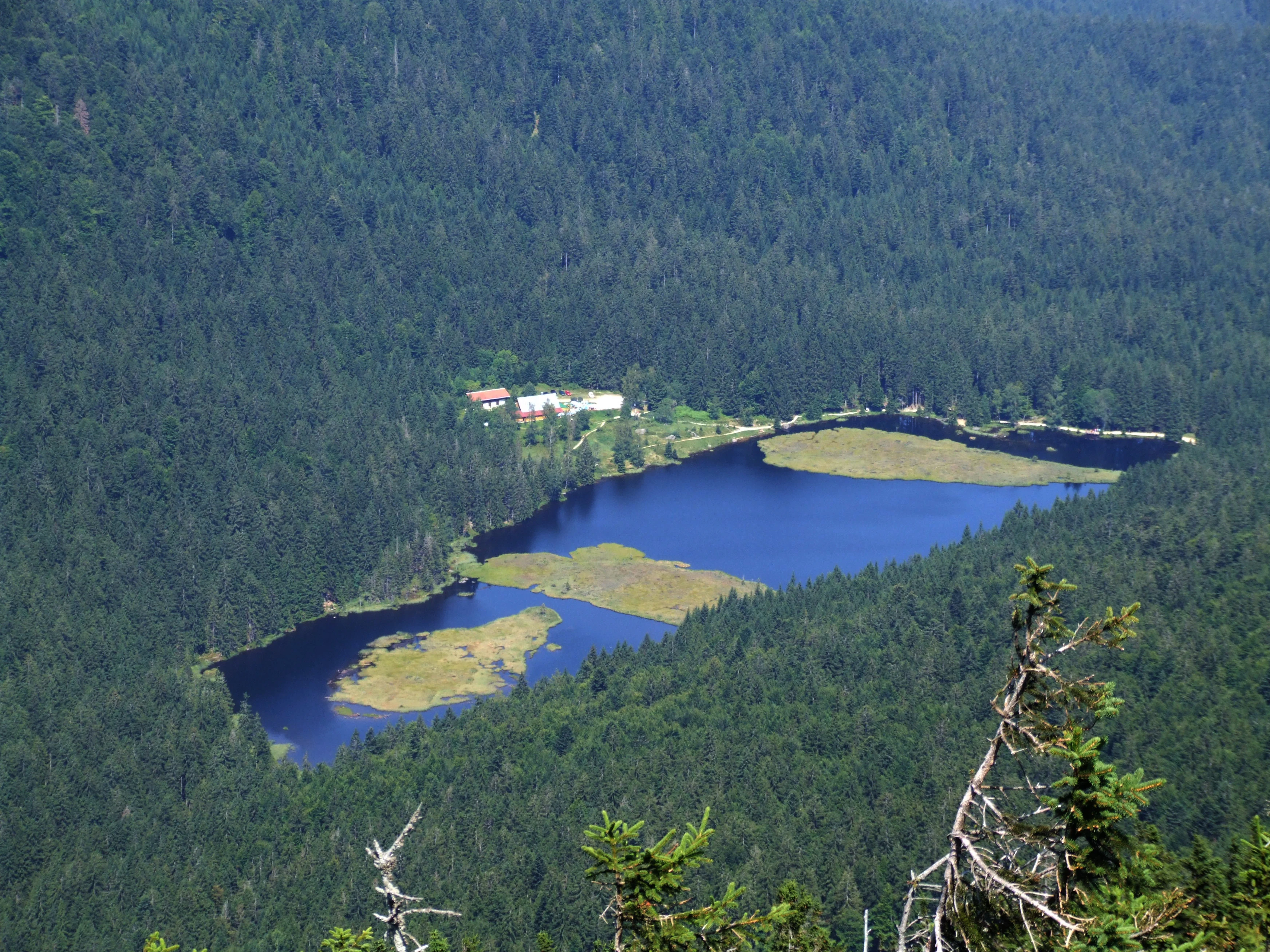 An elevated view looking down upon Kleiner Arbersee, a dark blue lake featuring several floating islands, surrounded by deep green coniferous forest.