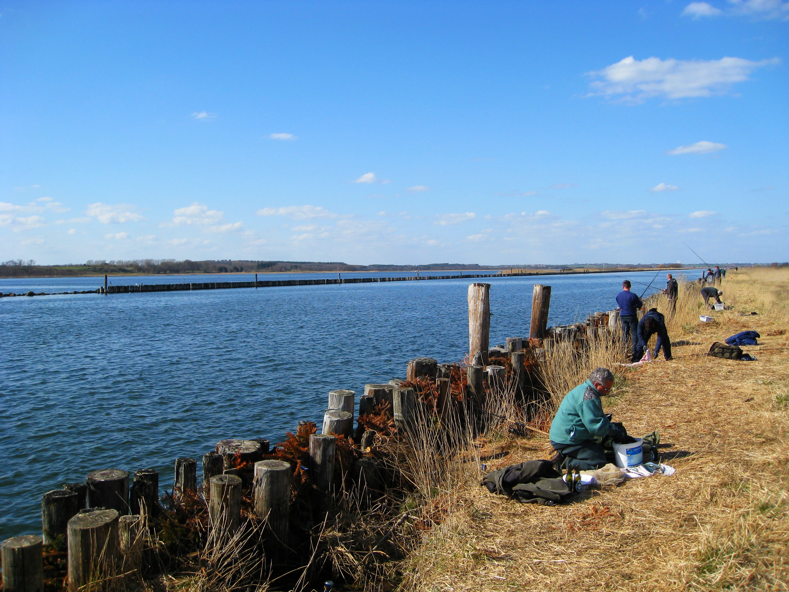 Several people sitting and standing along a grassy bank by a wide river, fishing with rods, with a wooden piling fence separating the bank from the water.