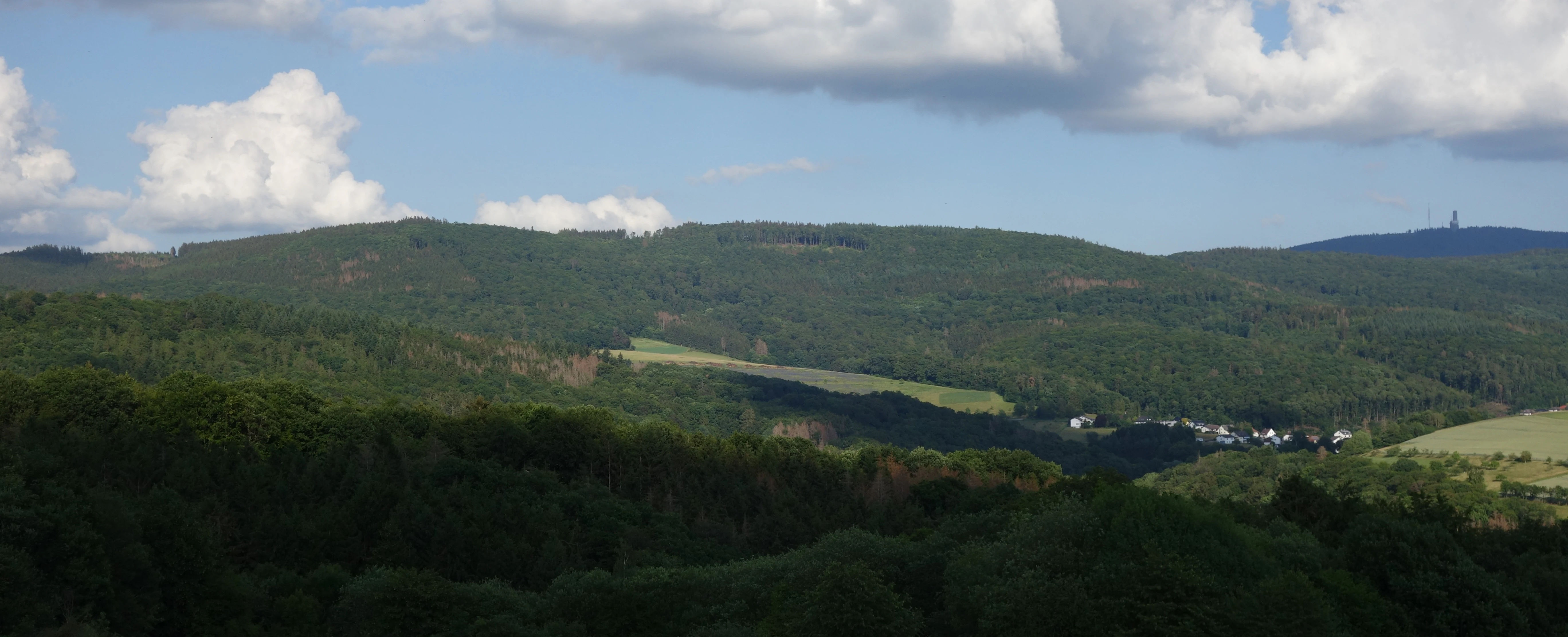 A wide, eye-level landscape view of rolling, forested hills in the Naturpark Rhein-Taunus under a partly cloudy sky, with a small settlement visible in the valley.
