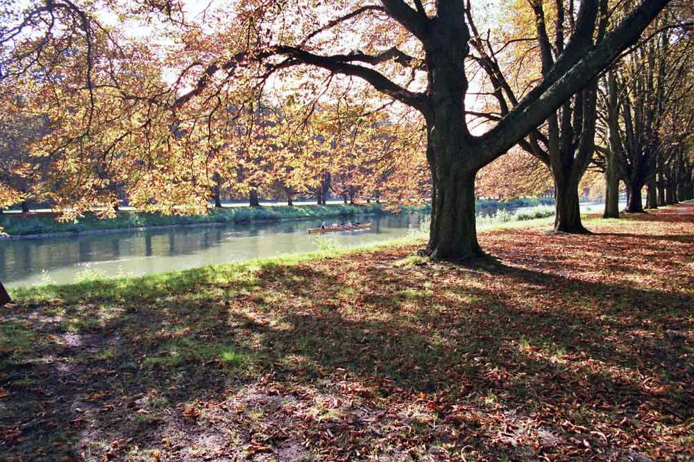 Una masa de agua tranquila y estrecha rodeada de árboles grandes y maduros con hojas otoñales de color marrón dorado. Las hojas caídas cubren el césped de la orilla del río, y la luz es suave, lo que sugiere un día soleado.