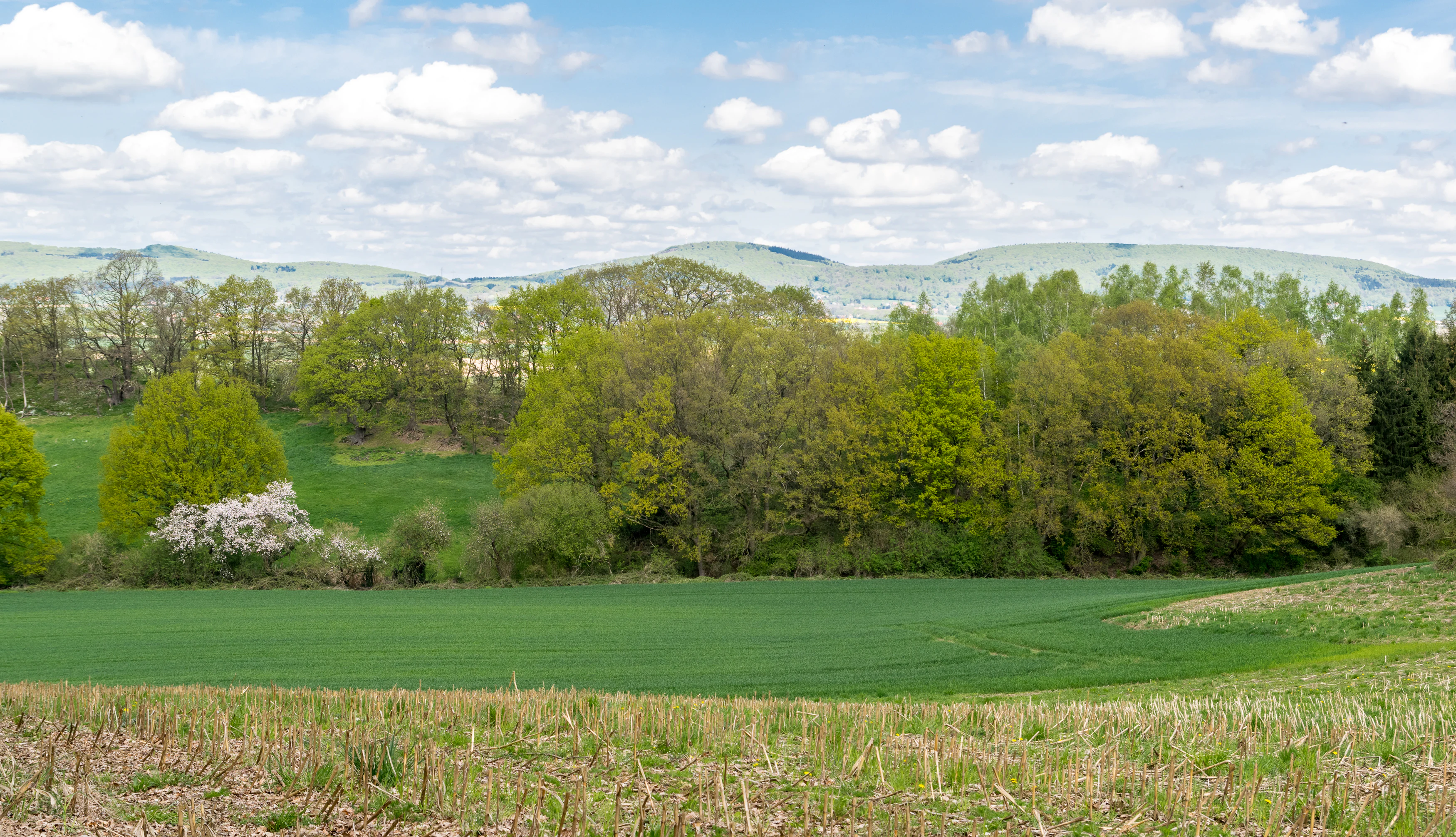 A green field leads toward a line of deciduous trees and rolling hills under a cloudy blue sky.