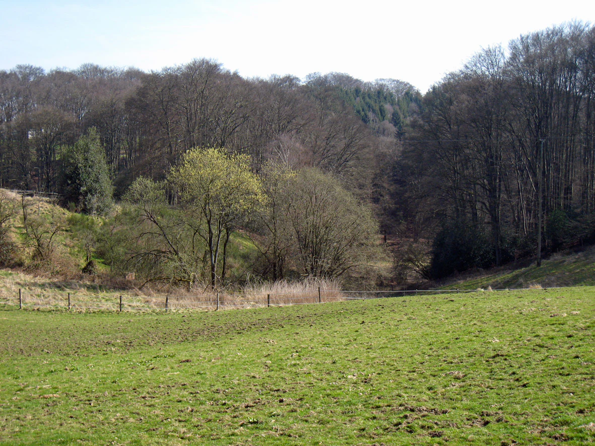 A wide view of a valley in the Alemigsiefental nature reserve, featuring a foreground of green meadow, a wire fence, and a background of dense, deciduous woodland in early spring.
