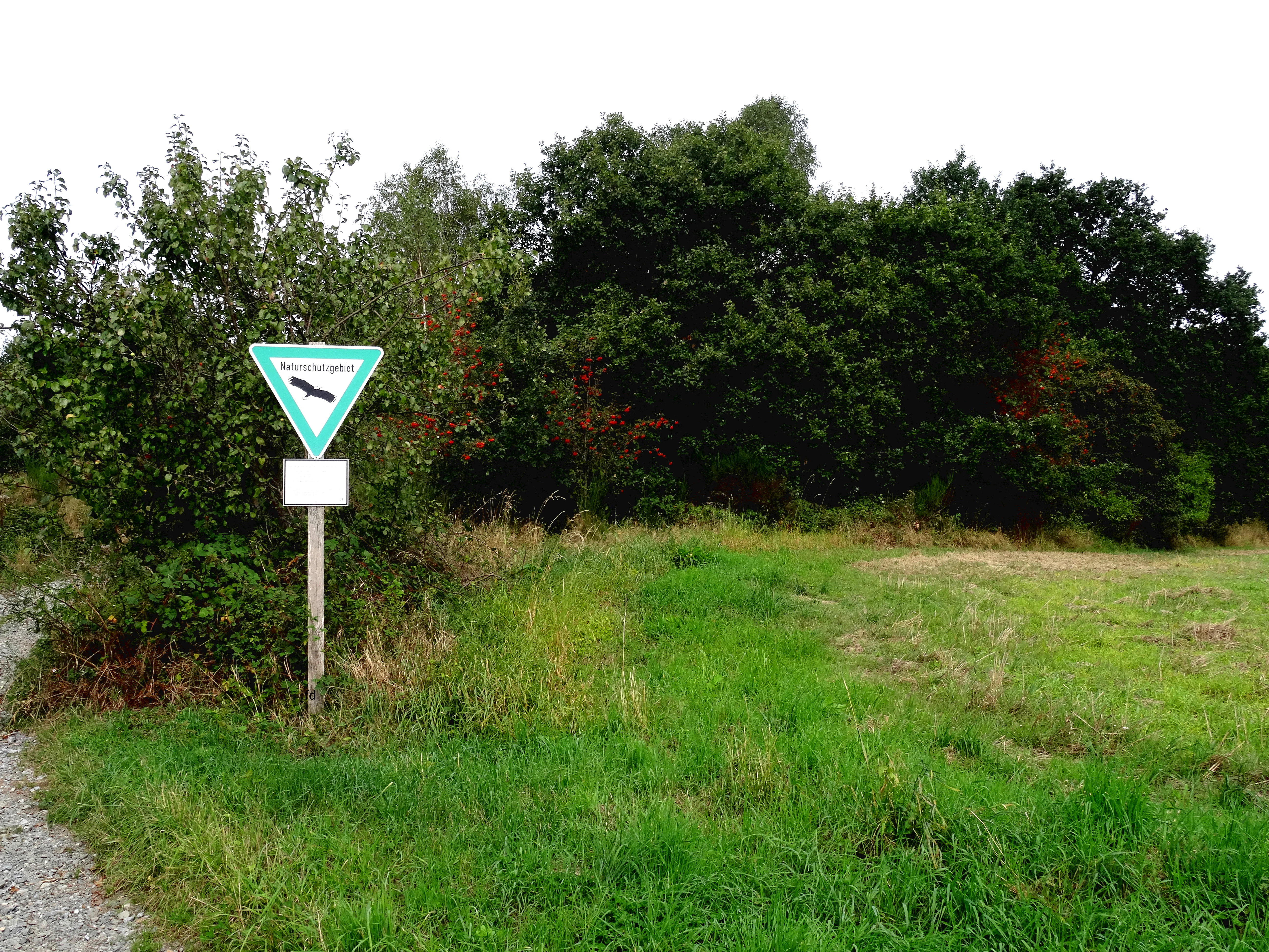 A triangular nature reserve sign with a bird silhouette on a post at the edge of a grassy field and dense trees.
