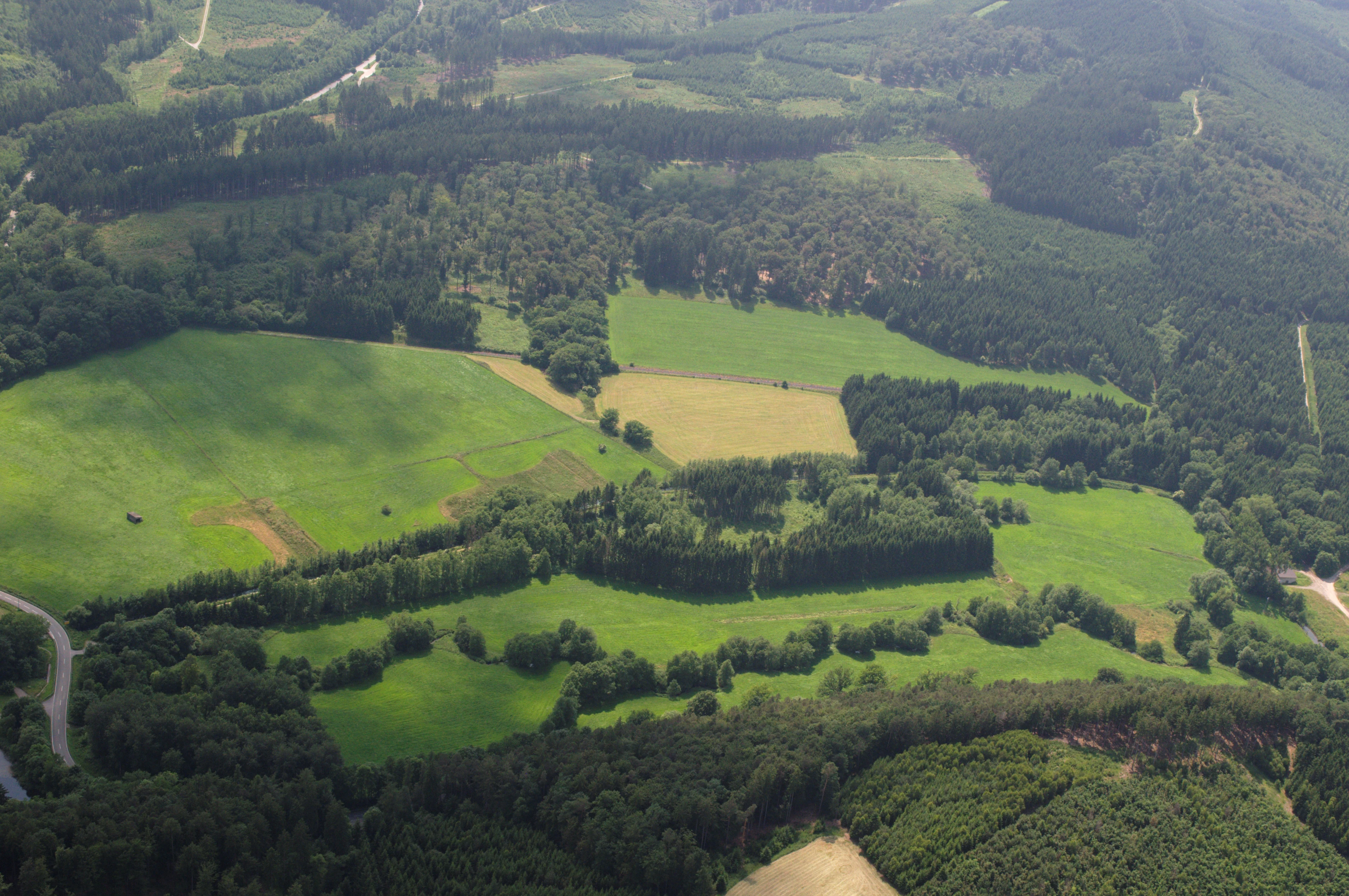 An aerial view showing a patchwork of green meadows, dense forest patches, and a winding river valley in a rural setting.
