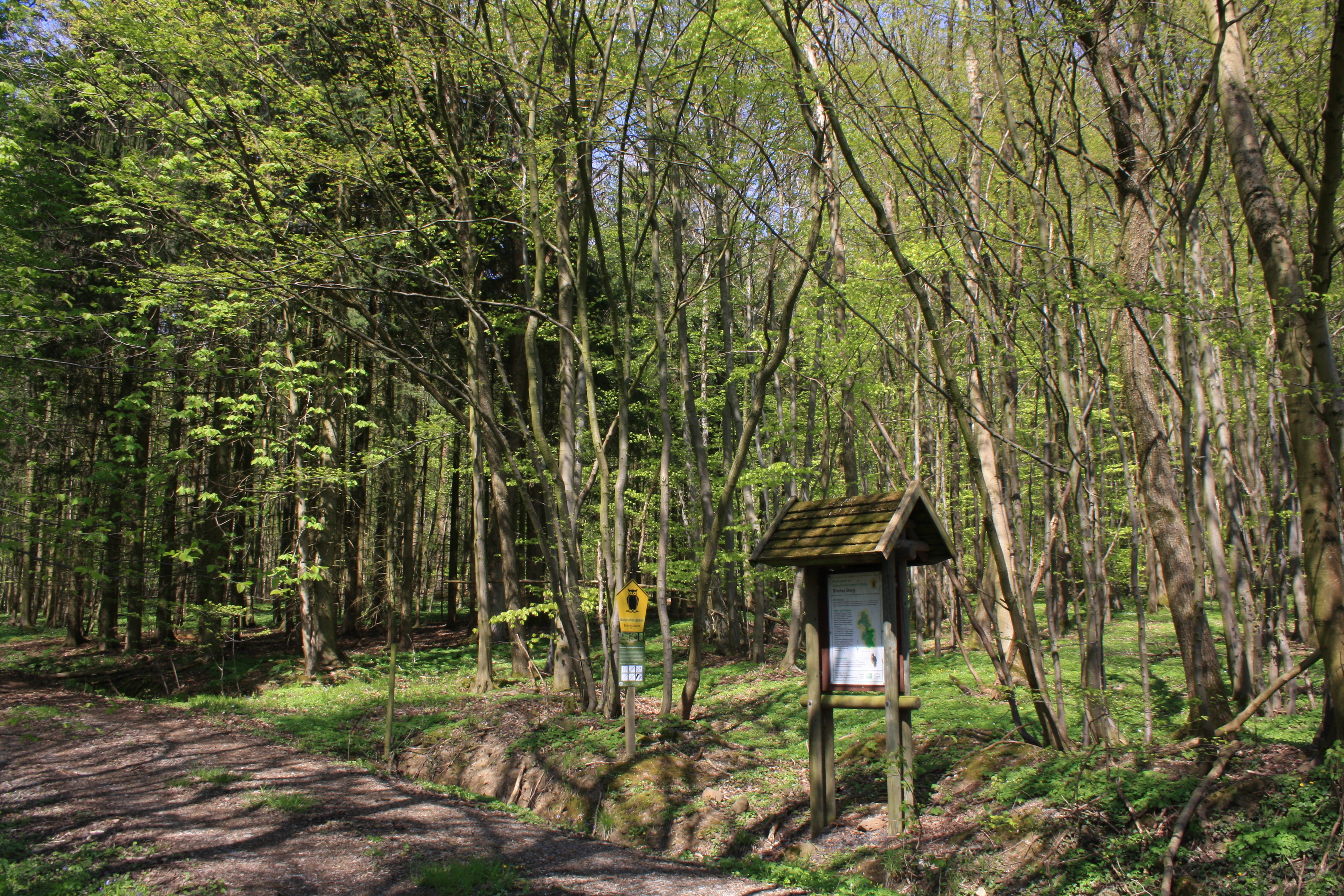 A wooden information sign stands on a small dirt path inside a green, sunlit deciduous forest, with a second, smaller yellow sign visible further back among the trees.
