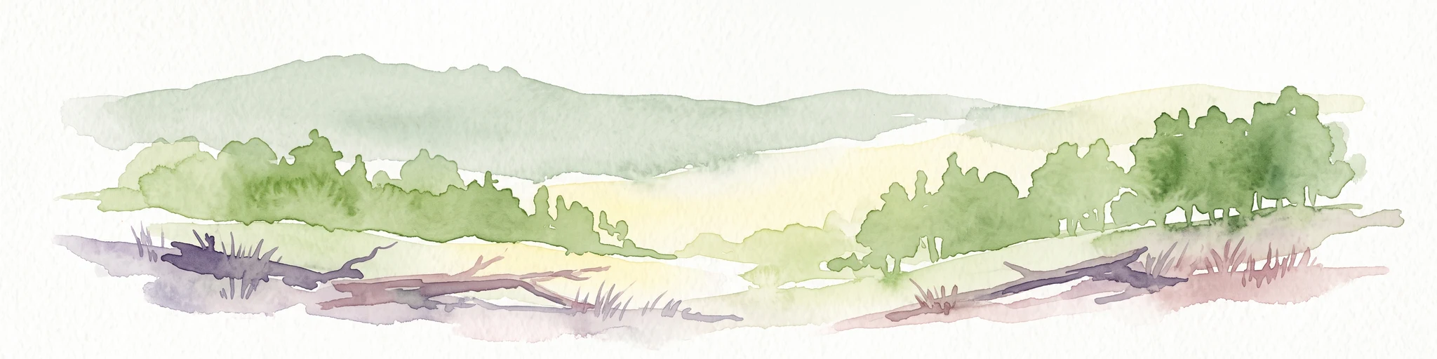 A horizontal watercolor illustration depicting rolling green hills, patches of forest, and fallen trees in the foreground on a plain white background.