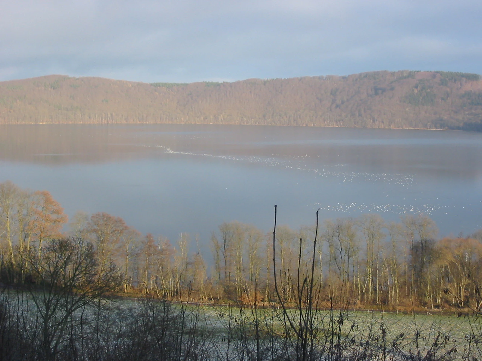 A wide view overlooking the Laacher See lake, featuring calm water, tree-lined shores, and forested crater rim hills under a hazy sky.