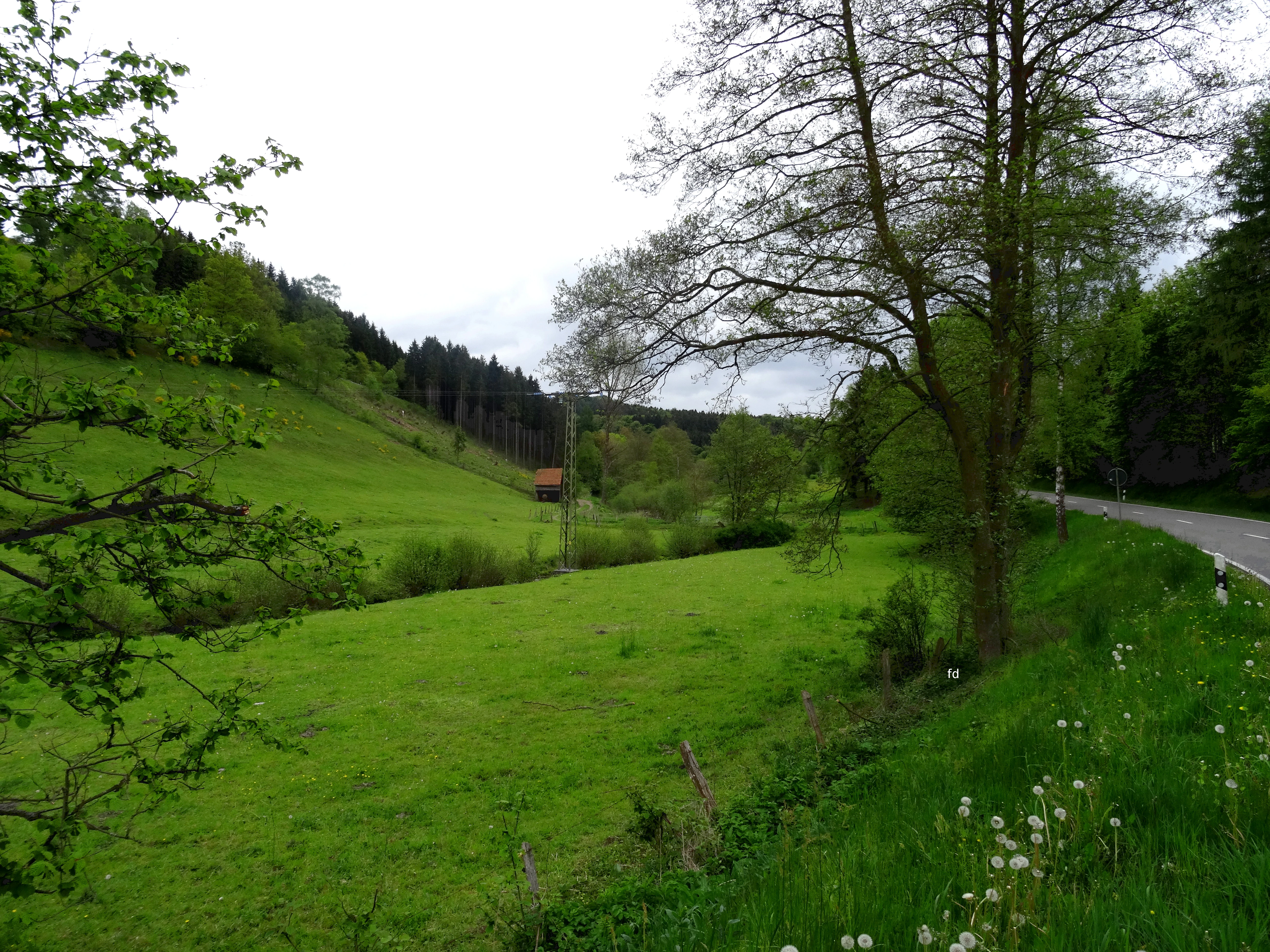 A green valley scene with a meadow, trees, and a road running along the right side of the frame.